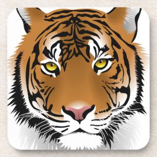 Tiger Eyes Coaster