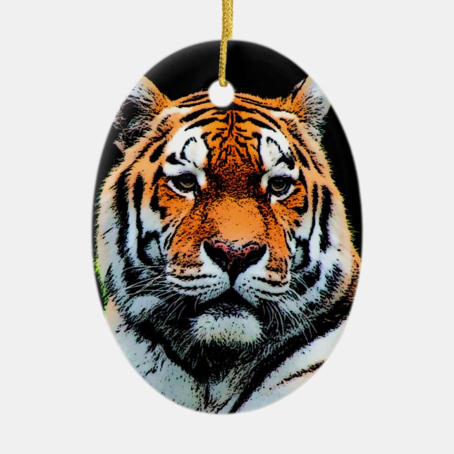 Tiger Eyes Inspirational Ceramic Tree Decoration (Front)