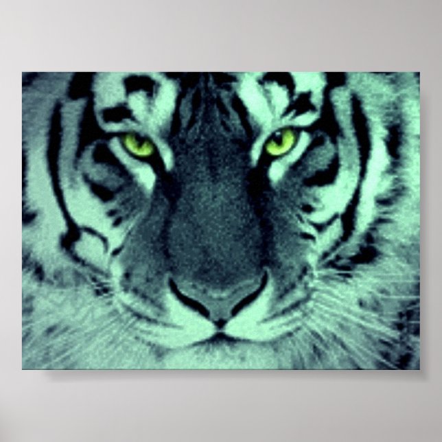 Tiger Eyes Poster (Front)