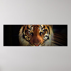 Tiger Eyes Poster - Wild Life Posters