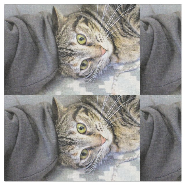 Tiger Fabric (Close Up)