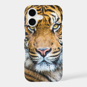 Tiger Face