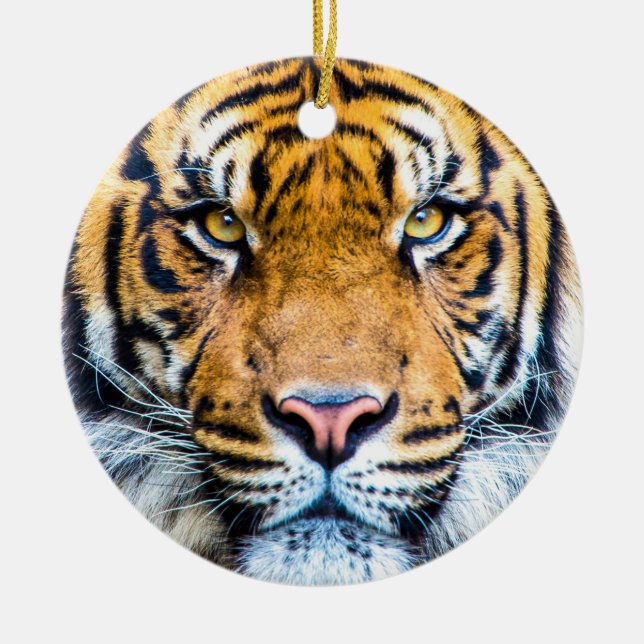 Tiger Face Close Up Monogram Name Ceramic Ornament (Front)