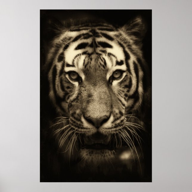 Tiger Face in Sepia Tones Poster (Front)