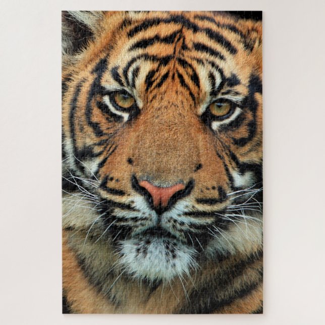 Tiger - Face - Jigsaw Puzzle (Vertical)