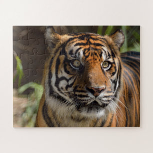 Tiger face jigsaw puzzle