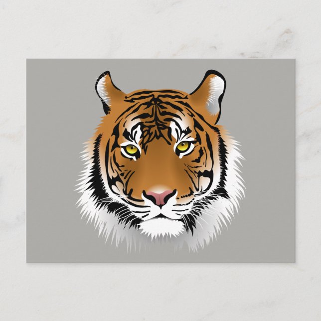 Tiger face postcard (Front)