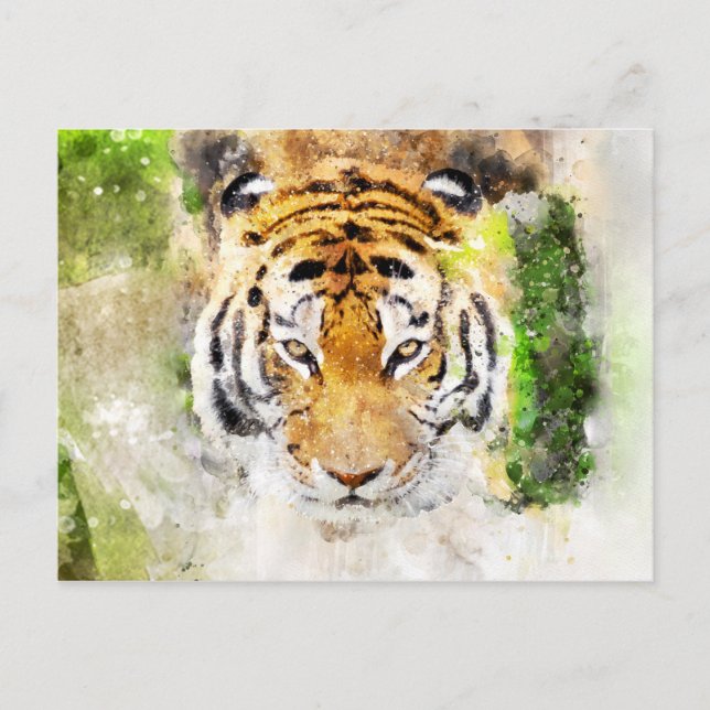 tiger face postcard (Front)