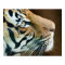 Tiger Face Print