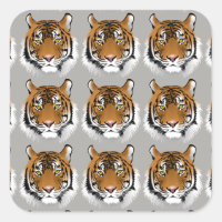 Tiger face stickers
