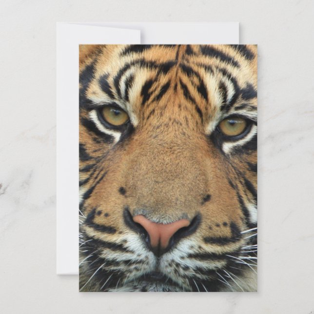 Tiger Face Thank You Card (Front)