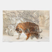 Tiger family in winter