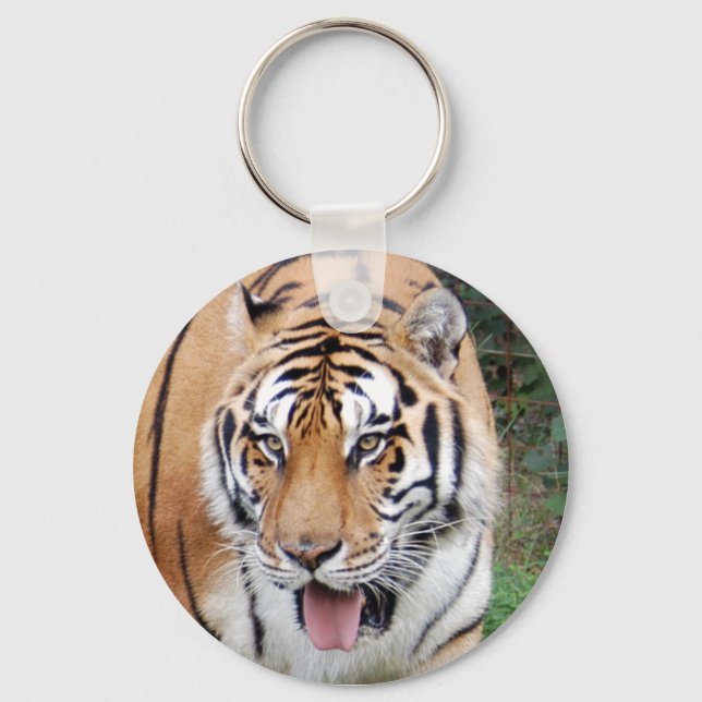 Tiger Friends-010 Key Ring (Front)