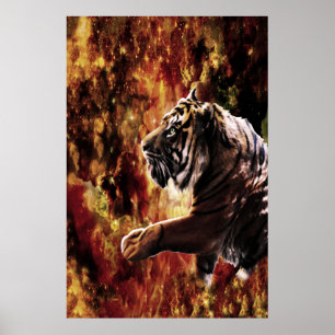 Tiger Galaxy Poster