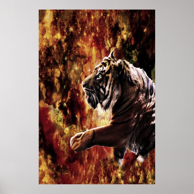 Tiger Galaxy Poster (Front)
