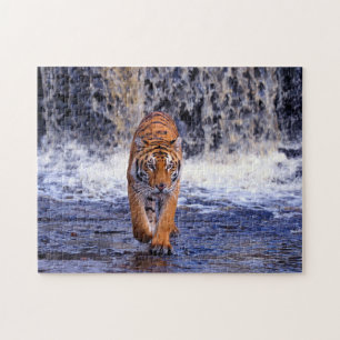 Tiger Game Puzzle