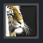Tiger Gift Box<br><div class="desc">Tiger Artwork - Tiger Head Animal Art - Wild Big Cats Images</div>