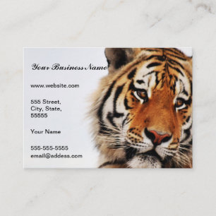 Tiger glance sideways photo business card