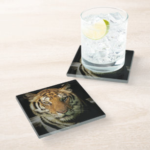 tiger glass coaster