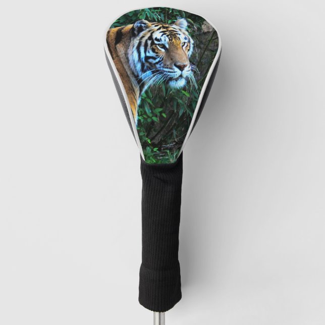Tiger Golf Head Cover (Front)
