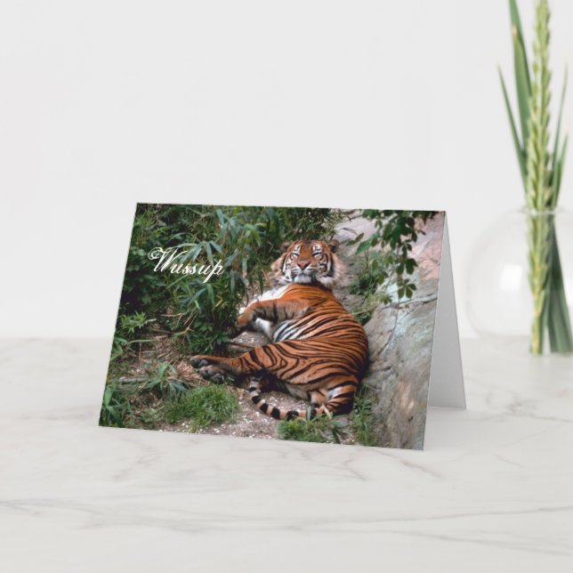 Tiger Greeting Card (Front)