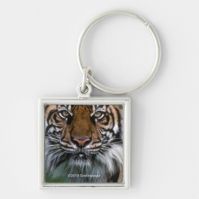 Tiger Head and Face Key Ring (Front)