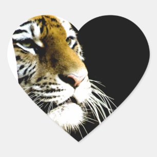 Tiger Heart Sticker