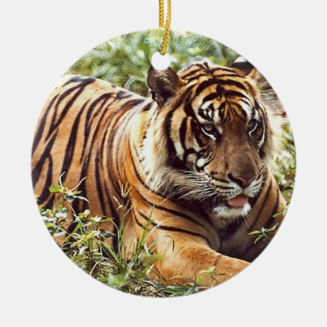 Tiger Holiday Ornament (Front)