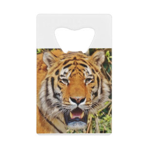 Tiger image !