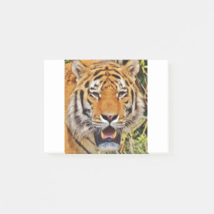 Tiger image ! post-it notes