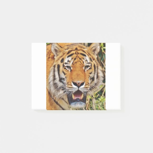 Tiger image ! post-it notes (Front)