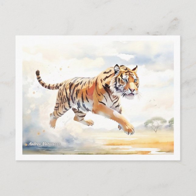 Tiger in Action 2 Postcard (Front)