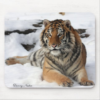Tiger in Snow Mouse Pad