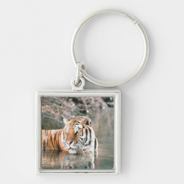 Tiger in stream key ring (Front)