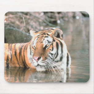 Tiger in stream mouse pad