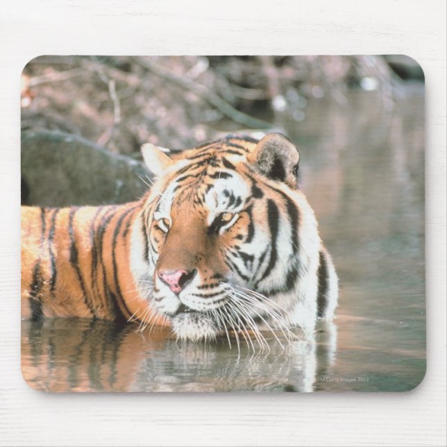 Tiger in stream mouse pad (Front)