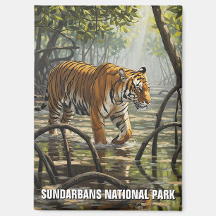 Tiger in Sundarbans National Park India Magnet