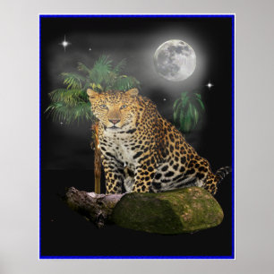 Tiger in the night poster