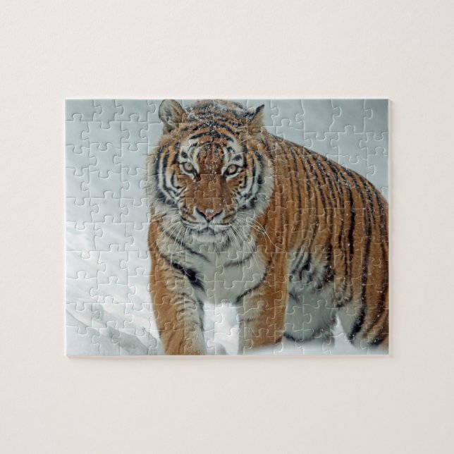 Tiger in the Snow Jigsaw Puzzle (Horizontal)