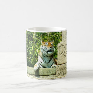 Tiger in the temple coffee mug