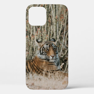 TIGER IN THE WILD RESTING iPhone 12 CASE