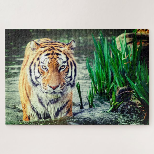 Tiger in Water Jigsaw Puzzle (Horizontal)