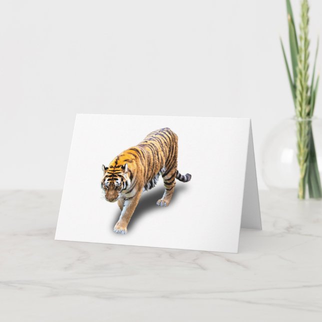 TIGER IN YOUR DIRECTION CARD (Front)
