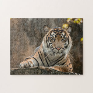 Tiger Jigsaw Puzzle