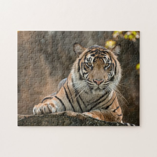 Tiger Jigsaw Puzzle (Horizontal)