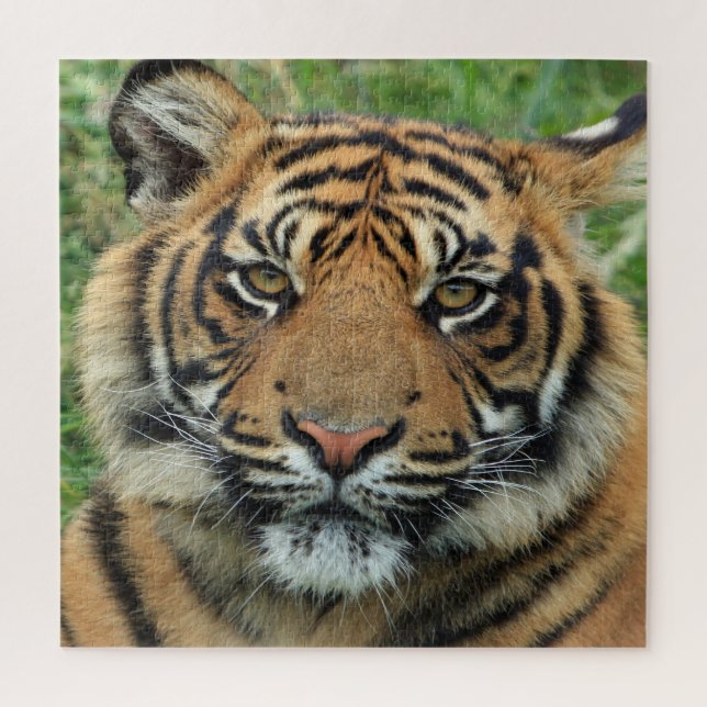 Tiger Jigsaw Puzzle (Vertical)