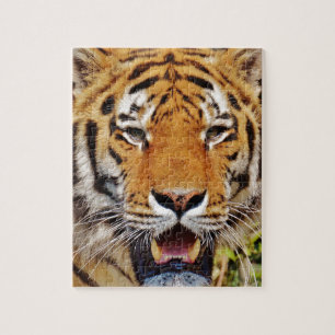 Tiger Jigsaw Puzzle