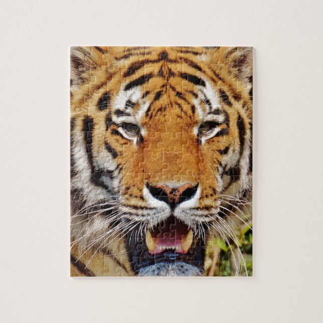 Tiger Jigsaw Puzzle (Vertical)