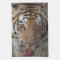 Tiger Kisses Kitchen Towel