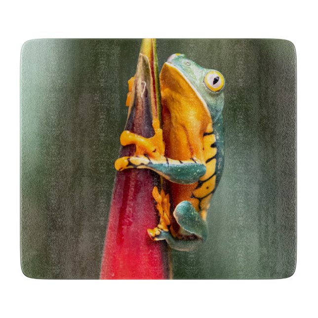 Tiger Legged Monkey Tree Frog Green Orange Cutting Board (Front)